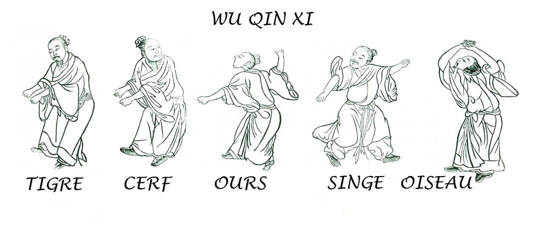 qi gong thérapeutique toulouse
