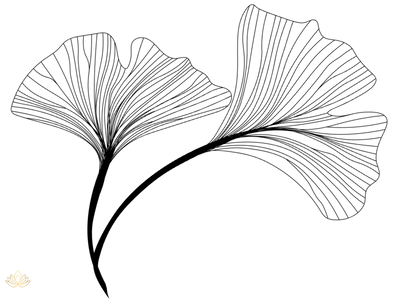 Wu Qin Xi