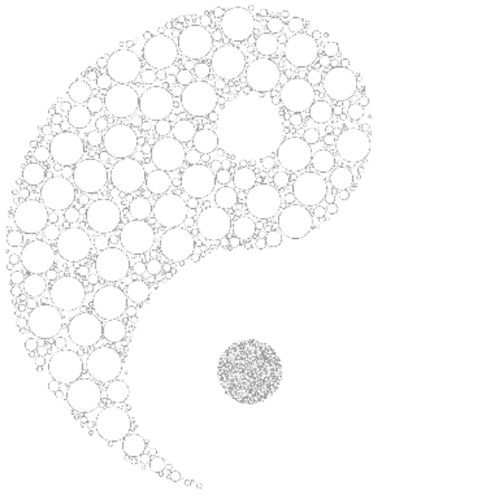 ying et yang qi gong toulouse